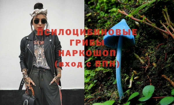 индика Краснотурьинск